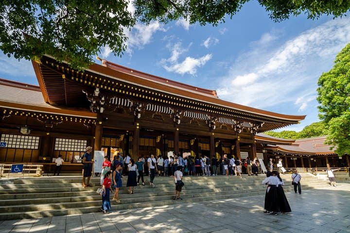 Tokyo Private Tour by Vehicle with English-Speaking Chauffeur — photo 4