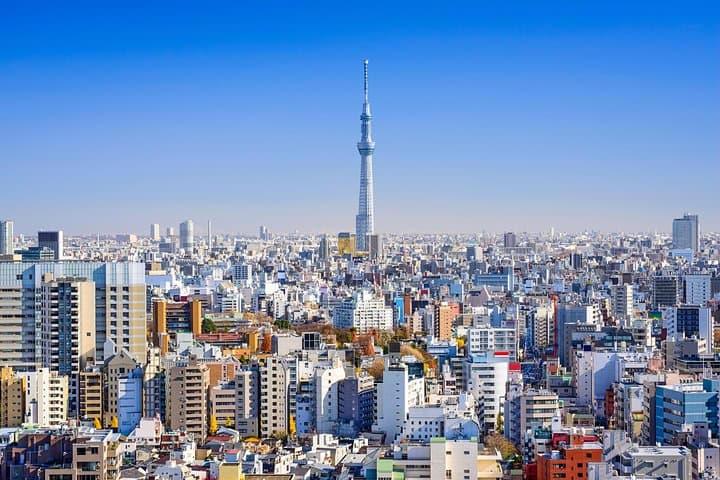 Tokyo Private Tour by Vehicle with English-Speaking Chauffeur — photo 6