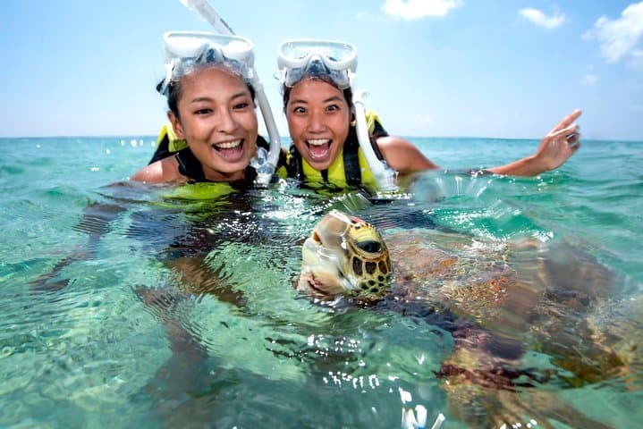 Miyakojima / Snorkel tour to see sea turtles & clownfish — photo 5