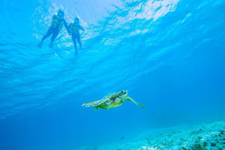 Miyakojima / Snorkel tour to see sea turtles & clownfish — photo 7