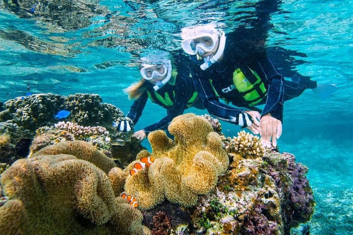Miyakojima／Playing with the sea for the first time!Fish Search Tour — photo 3