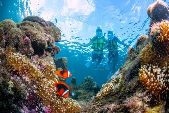 Miyakojima／Playing with the sea for the first time!Fish Search Tour — photo 4
