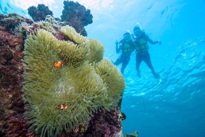 Miyakojima／Playing with the sea for the first time!Fish Search Tour — photo 5