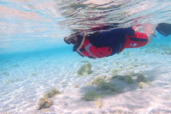 1day kayak tour in Kerama Islands and Zamami Island — photo 19