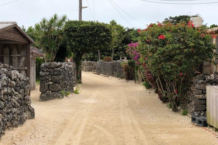 Taketomi Island Walk Tour with an Island Guide — photo 2