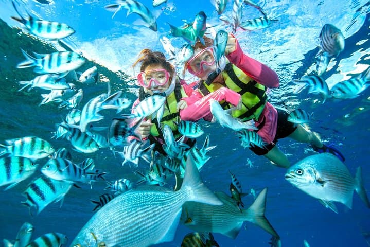 Easily set sail by boat! / Blue cave snorkel — photo 4