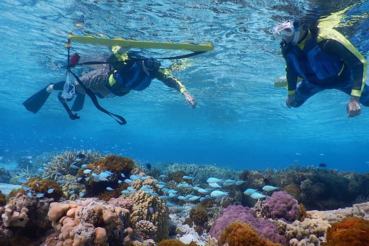 Half-day kayak tour on the Kerama Islands and Zamami Island — photo 4