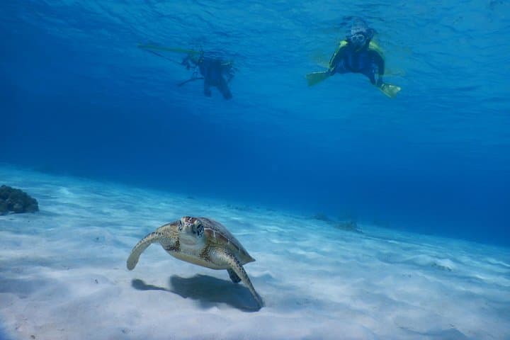 Half-day kayak tour on the Kerama Islands and Zamami Island — photo 6