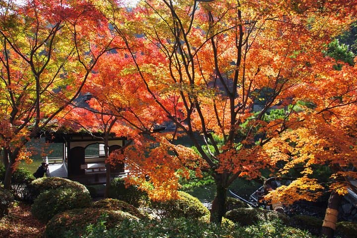 The Best of Wakayama City Private Tour — photo 5
