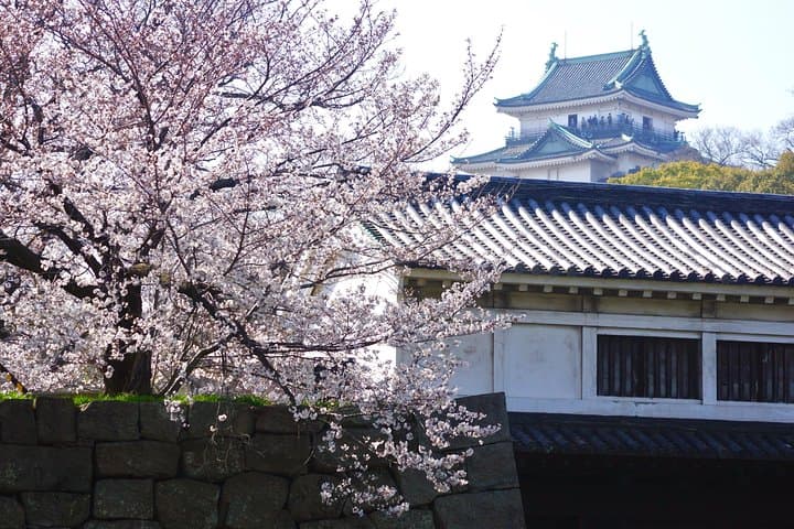 The Best of Wakayama City Private Tour — photo 12