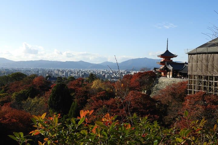 Kyoto Full Day (8 hours) Ultimate Sightseeing Private Tour — photo 4
