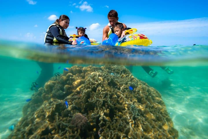 OK from 2 years old! / Sea picnic & snorkel — photo 8
