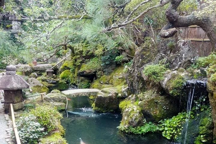 Kyoto's Top City Highlights: 2-Day Private Tour Experience — photo 4