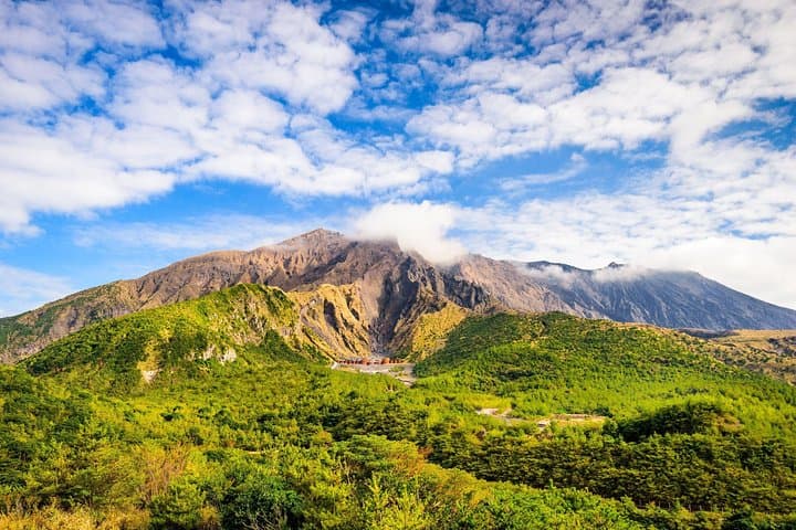 Kagoshima Full-Day Private Tour with Government-Licensed Guide — photo 9