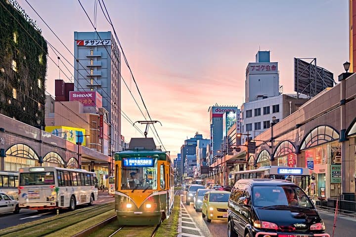 Port Pick-Up: Kagoshima Private Tour Licensed Guide ＆ Vehicle — photo 17