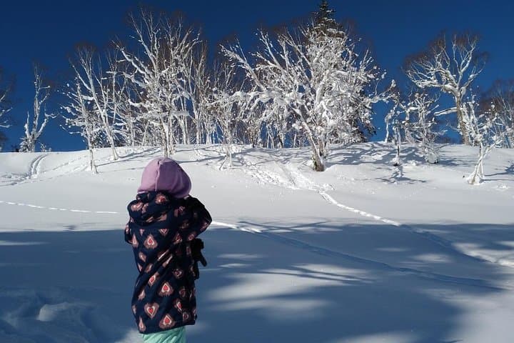 Snowshoe Hike Tour from Sapporo include hotel p/up & drop off — photo 3