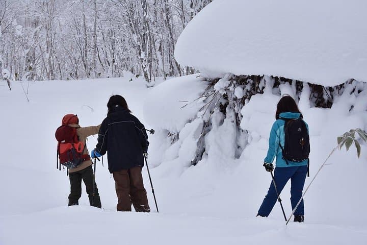Snowshoe Hike Tour from Sapporo include hotel p/up & drop off — photo 4