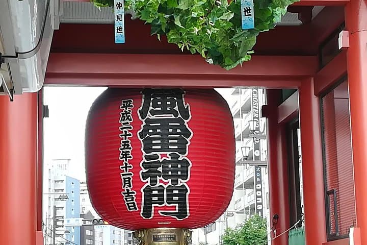 Tokyo highlights, Meiji shrine, Asakusa, Ueno & Tokyo National Museum — photo 5