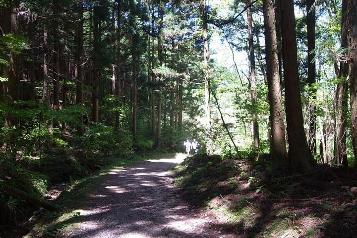 Private Full Day Magome &Tsumago Walking Tour from Nagoya — photo 5
