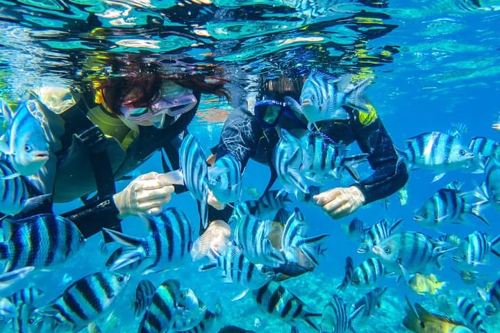 [Okinawa Blue Cave] Snorkeling with Private Guide+ Free Photos — photo 3