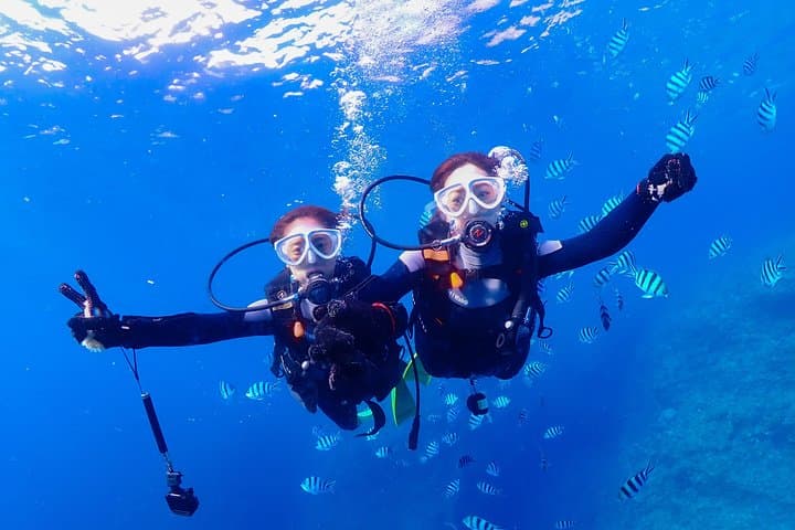 Blue Cave Introductory Dive–Private Guide, Boat Tour&Free Photos — photo 15