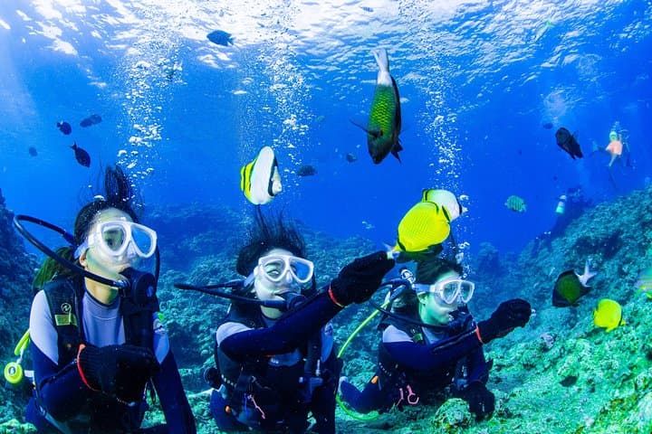 Blue Cave Introductory Dive–Private Guide, Boat Tour&Free Photos — photo 7