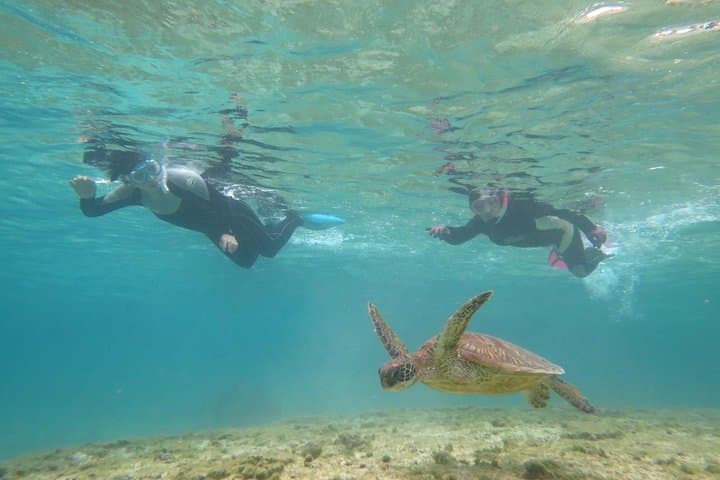[Miyakojima Snorkel] Private tour from 2 people Let's look for sea turtles! Snorkel tour that can be enjoyed from 3 years old — photo 2