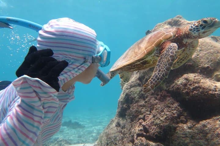 [Miyakojima Snorkel] Private tour from 2 people Let's look for sea turtles! Snorkel tour that can be enjoyed from 3 years old — photo 3