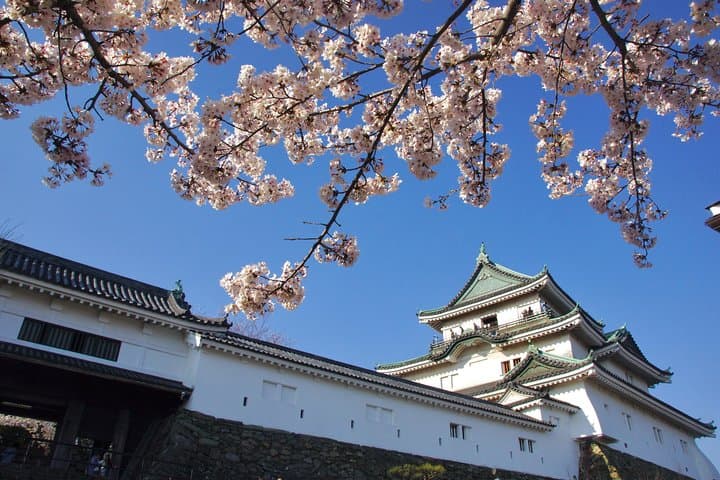 Wakayama Castle Town Walking Tour — photo 4