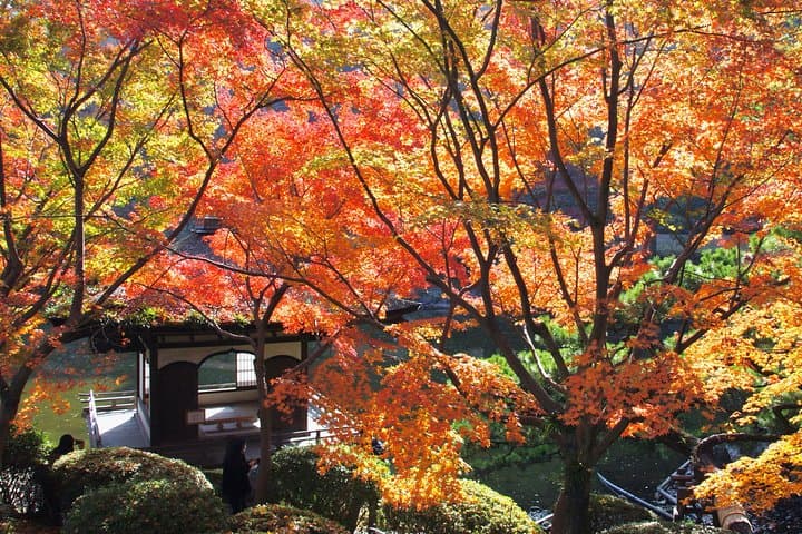 Wakayama Castle Town Walking Tour — photo 7