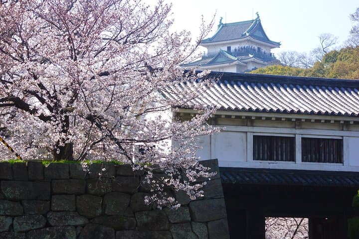 Wakayama Castle Town Walking Tour — photo 10