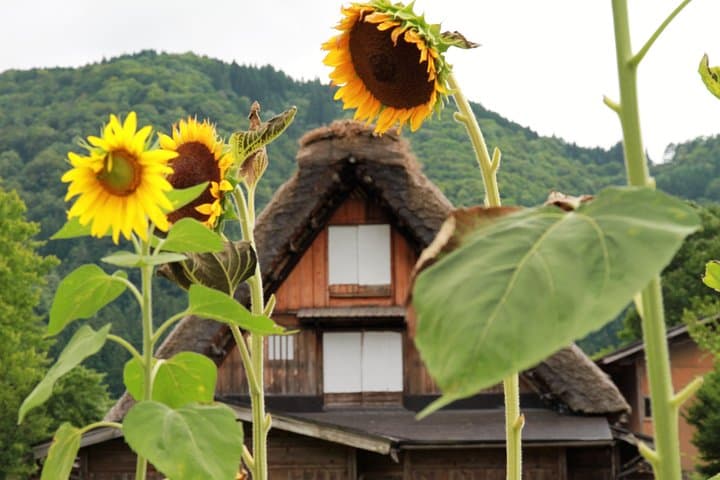 Private transfer Kanazawa to Takayama Including Shirakawago — photo 6