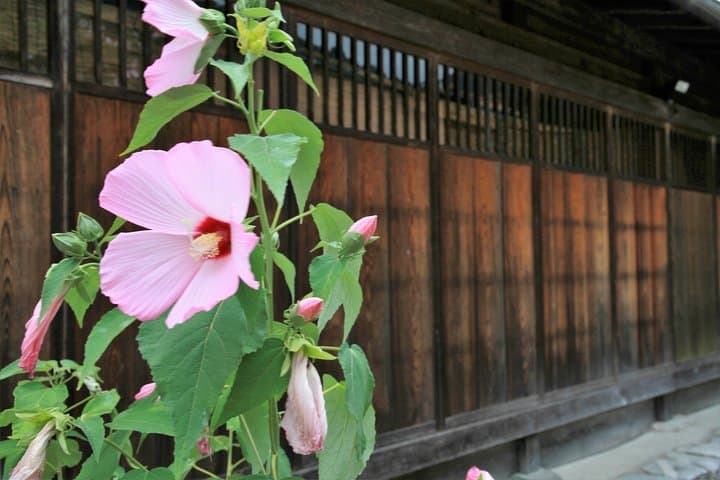 Private transfer Kanazawa to Takayama Including Shirakawago — photo 8