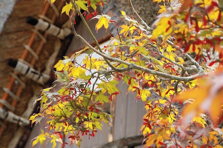 Private transfer Kanazawa to Takayama Including Shirakawago — photo 9