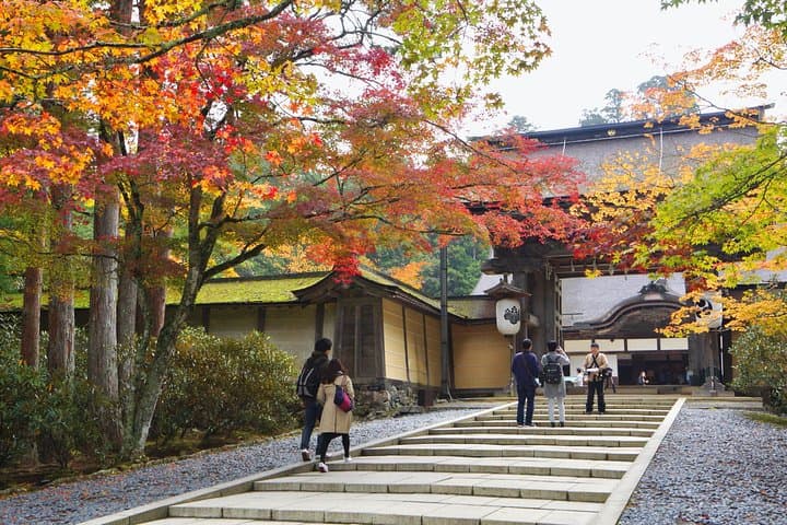 Koyasan Full-Day Private Tour — photo 8