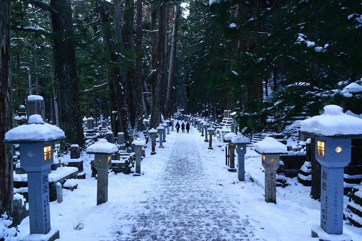 Koyasan Full-Day Private Tour — photo 13