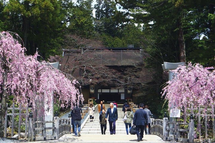 Koyasan Full-Day Private Tour — photo 15