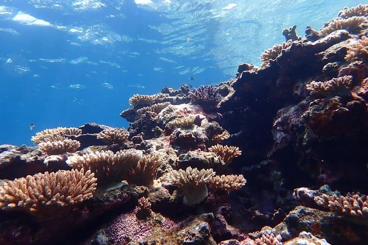Okinawa Ishigaki Phantom Island and Blue Cave Snorkeling — photo 20