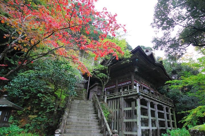 Fukui private full day/Photoshoot by professional photographer — photo 7