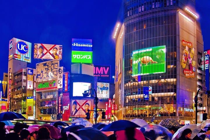 Tokyo City Night View Tour with Native Japanese Driver — photo 4