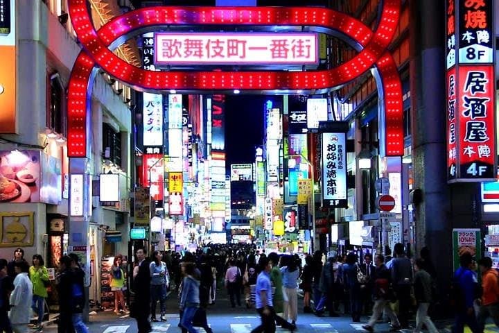 Tokyo City Night View Tour with Native Japanese Driver — photo 8