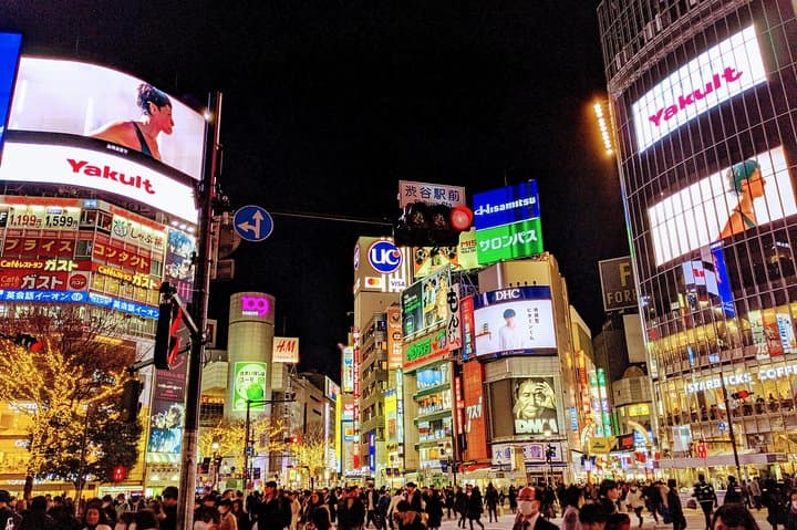 Tokyo Highlights Private Custom Tour with Licensed Guide & Driver — photo 6