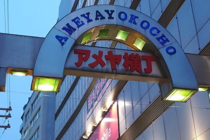 Tokyo highlights, Asakusa, Ueno, Yanaka Walking — photo 6