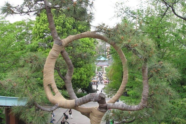 Tokyo highlights, Asakusa, Ueno, Yanaka Walking — photo 2