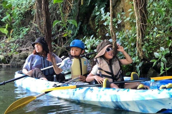 Mangrove kayaking to enjoy nature in Okinawa — photo 3