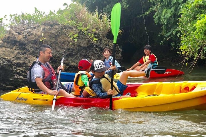 Mangrove kayaking to enjoy nature in Okinawa — photo 4