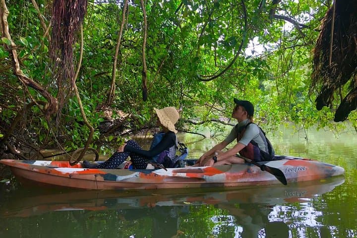 Mangrove kayaking to enjoy nature in Okinawa — photo 7