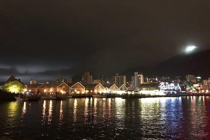 Enjoy Hakodate Night View by Rickshaw Tours — photo 3