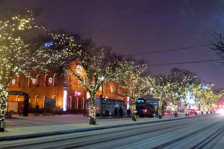 Enjoy Hakodate Night View by Rickshaw Tours — photo 4