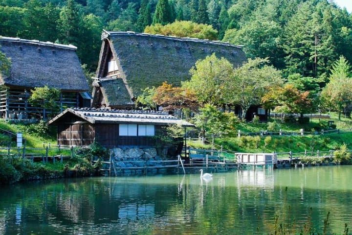 Takayama Half-Day Private Tour with Government Licensed Guide — photo 4